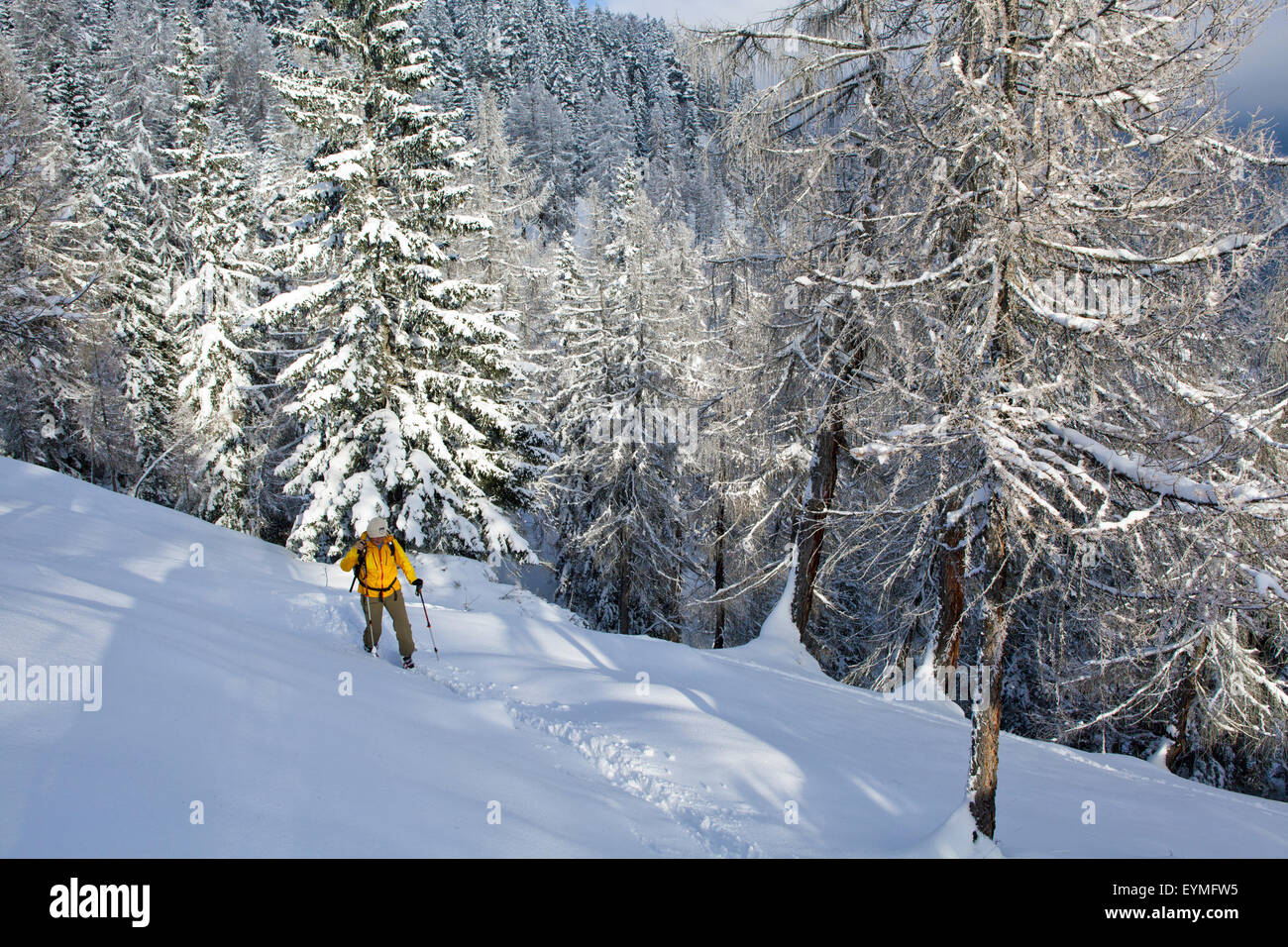 Femmina alpinista di sci inverno forest Foto Stock