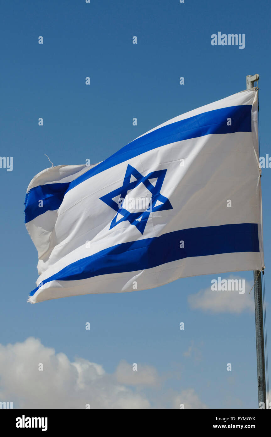 Bandiera israeliana, scavo archeologico sito Avdat, Negev, Israele Foto Stock