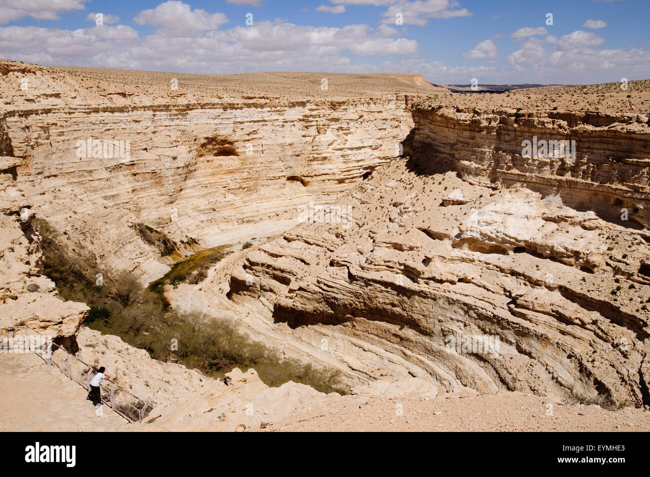 Ein Avdad canyon, Sde Boker, Negev, Israele Foto Stock