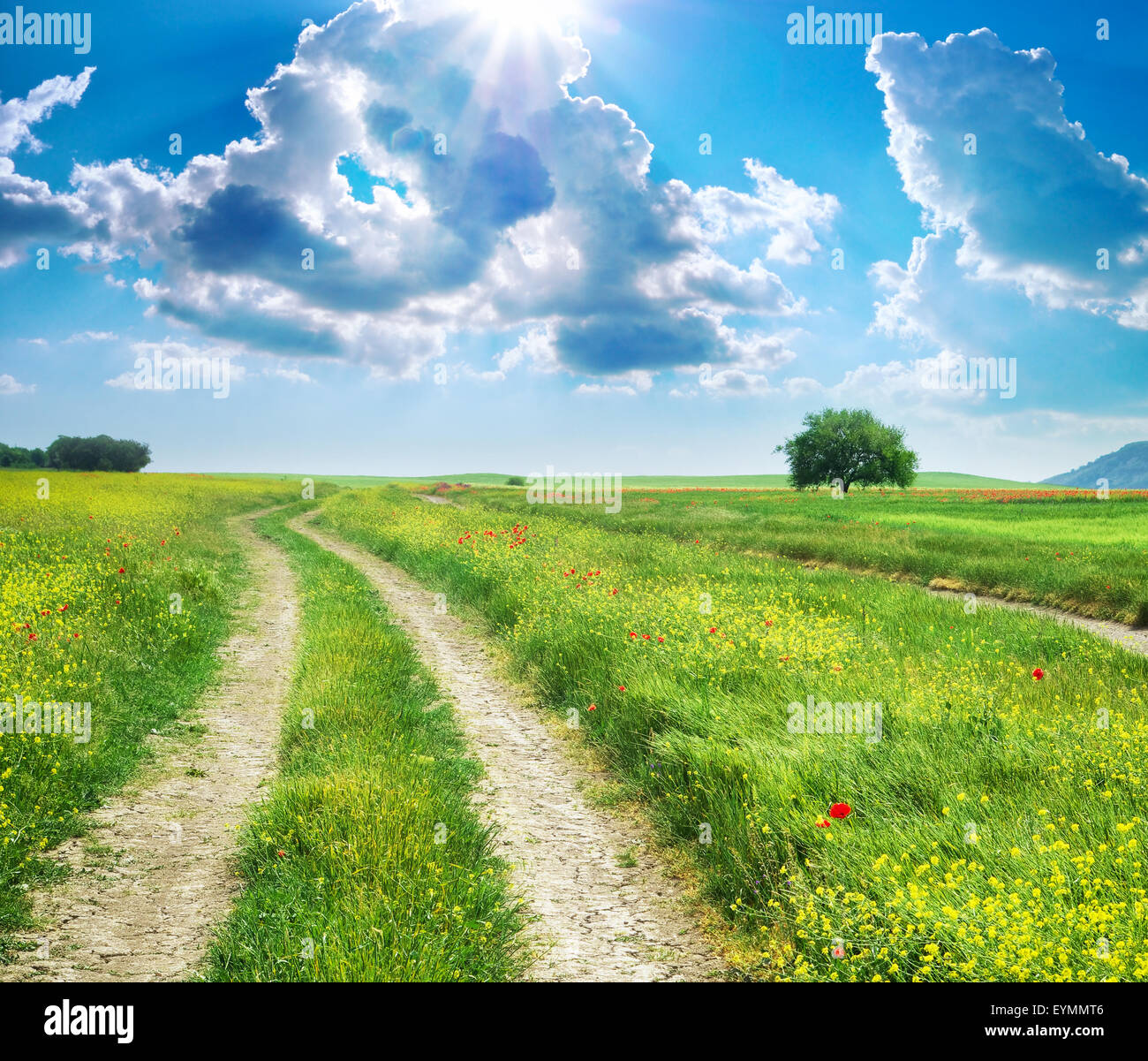 Corsia di circolazione su strada e il profondo blu del cielo. La natura del design. Foto Stock