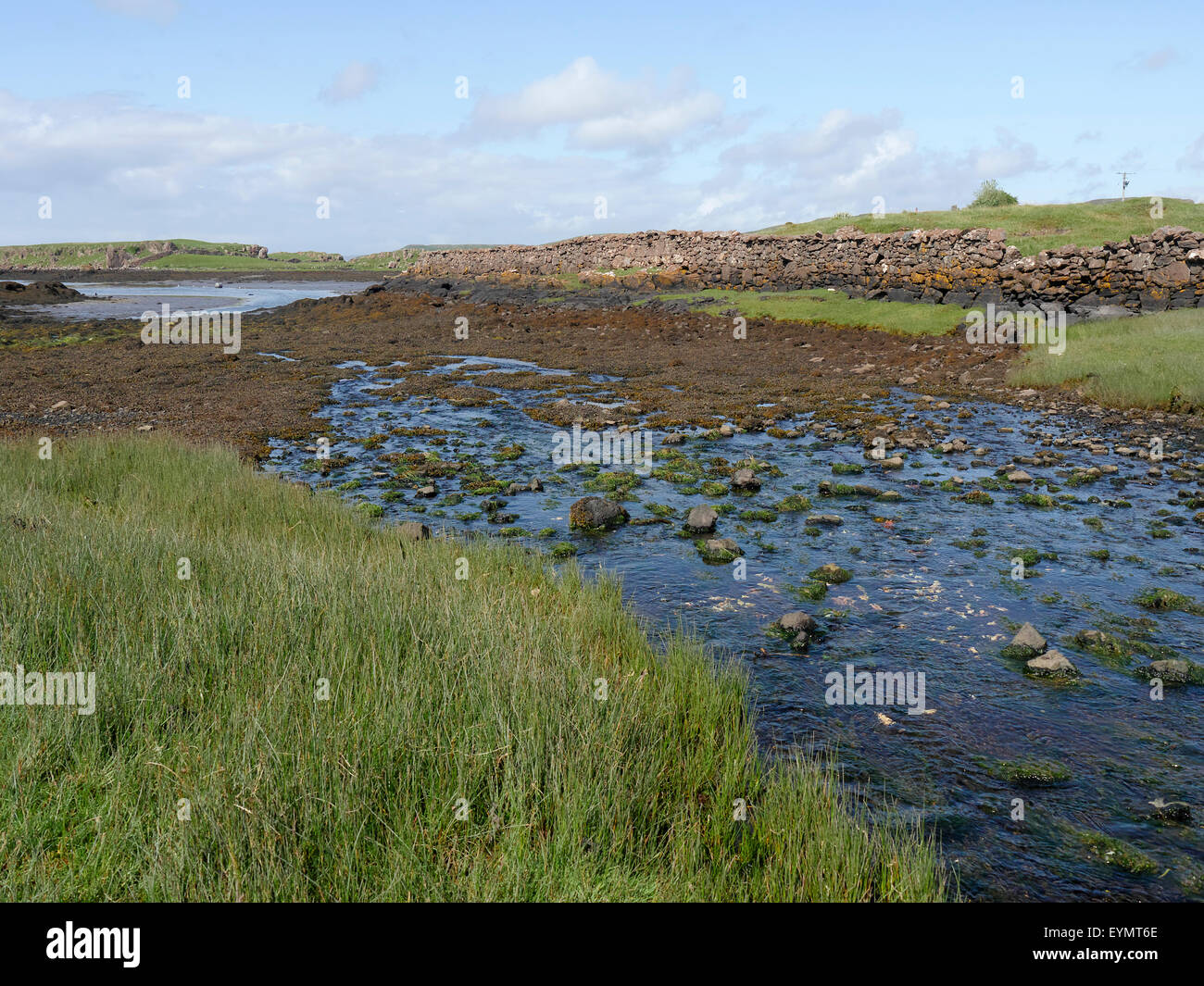 Croig estuario, Isle of Mull, Scozia, Luglio 2015 Foto Stock