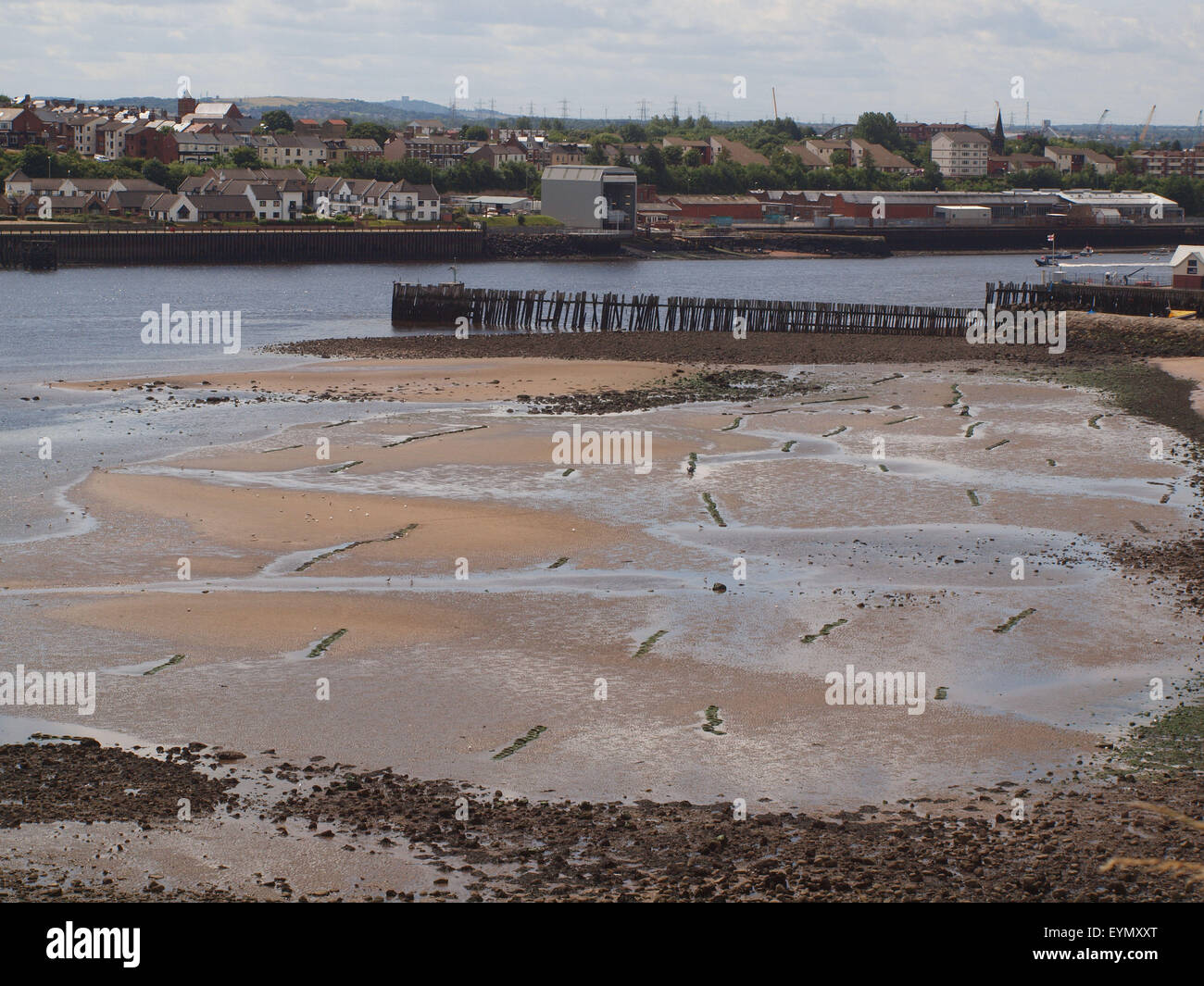 Newcastle Upon Tyne, Regno Unito. 1 agosto 2015, UK Meteo. Il bel tempo con la bassa marea sul Tyne esponendo le righe dei pneumatici neri cattura solo di crostacei in ne raccolte dai pescatori di esca e venduto Credito: James Walsh Alamy/Live News Foto Stock