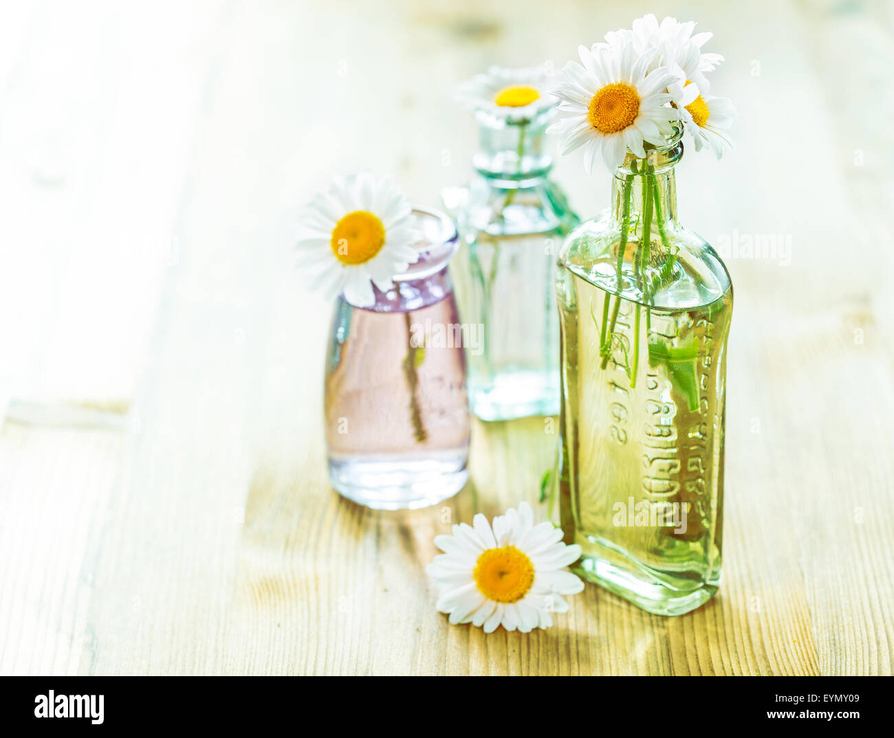 Bouquet di chamomiles in piccoli vasetti di vetro su sfondo di legno Foto Stock