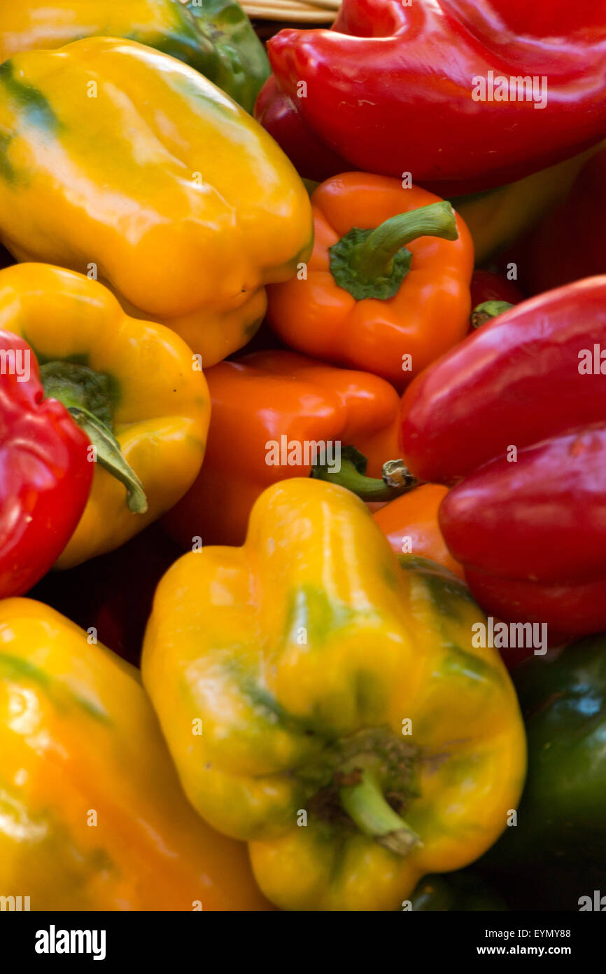 Colorato i peperoni sul display per la vendita al mercato agricolo Foto Stock
