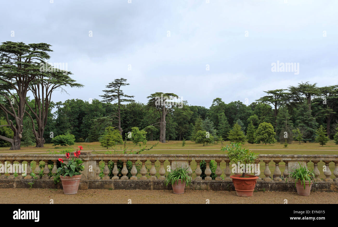 La vista dalla terrazza sul terreno a casa Ickworth, Horringer, Bury St Edmunds, Suffolk, East Anglia, Inghilterra, Regno Unito. Foto Stock