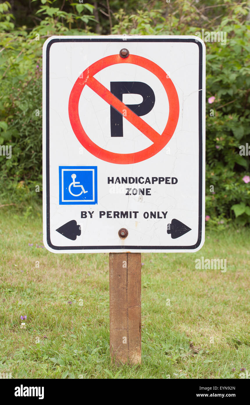 Nessun parcheggio in zona di portatori di handicap di segno. Segno sulla zona di erba. Foto Stock