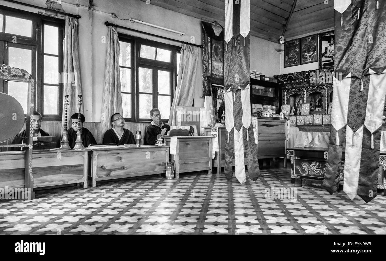 I sacerdoti buddisti, lama, pregando all'interno di un monastero in India, lettura scrittura tradizionale con spazio di copia in bianco e nero Foto Stock