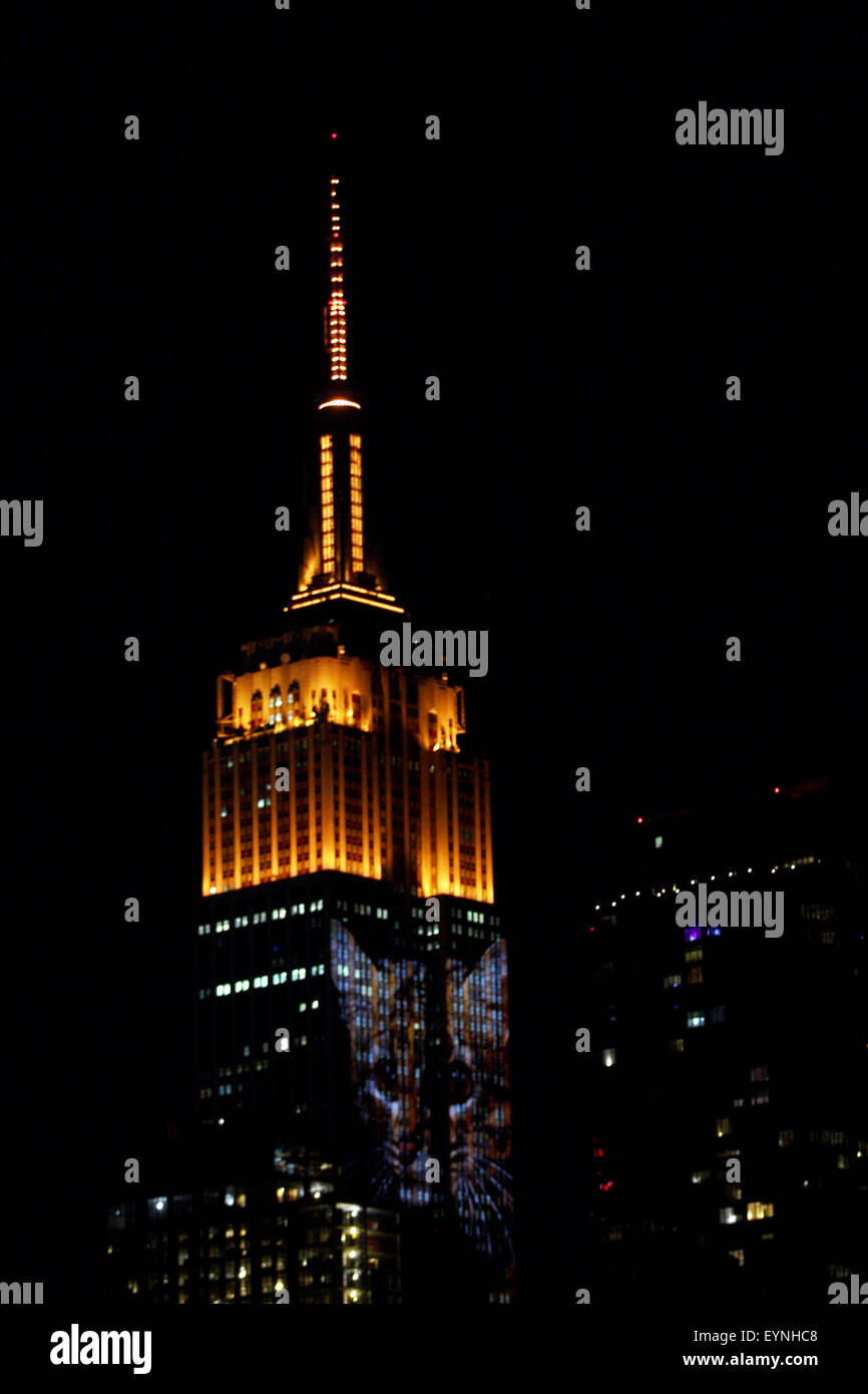 La città di New York, Stati Uniti d'America. 1 agosto, 2015. Immagini digitali di specie in via di estinzione sono proiettati sul fronte sud di New York City di Empire State Building il sabato sera. Il progetto, intitolato #racingextinction, è il frutto della regista e fotografo Louis Psihoyos e artista multimediale Threlkel Travis, ed è progettato per aumentare la consapevolezza della piaga della minaccia di creature. I collaboratori fare riferimento ad esso come un' arma di istruzione di massa." Le immagini sono state proiettate usando 40 proiettori di 20.000 lumen ciascuna. Credito: Adam Stoltman/Alamy Live News Foto Stock