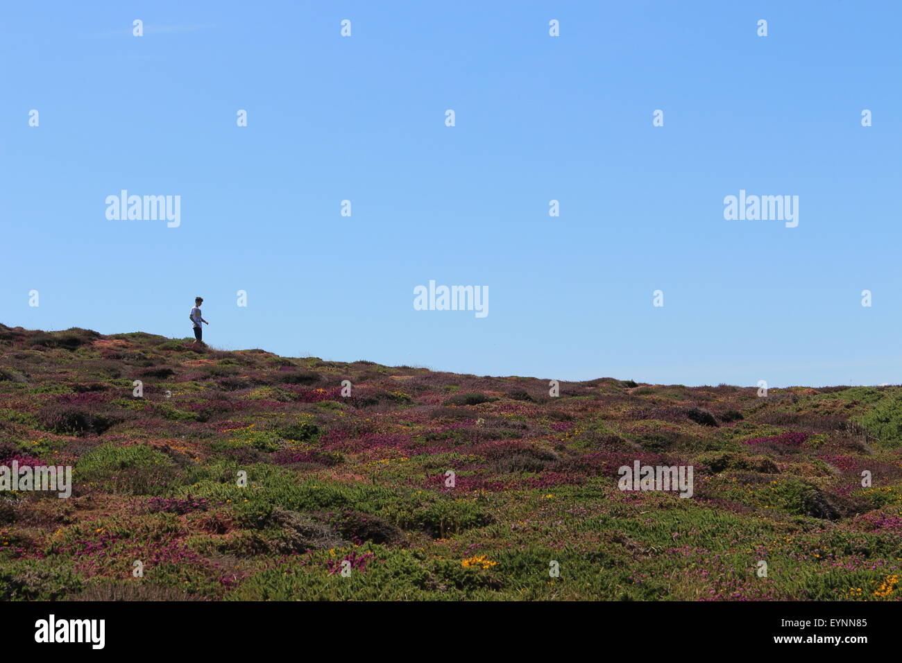Lands End, Cornwall Foto Stock