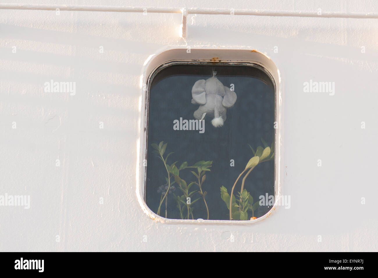 La vita come un membro dell'equipaggio a bordo di un traghetto passeggeri - personalizzato nella finestra di cabina Foto Stock