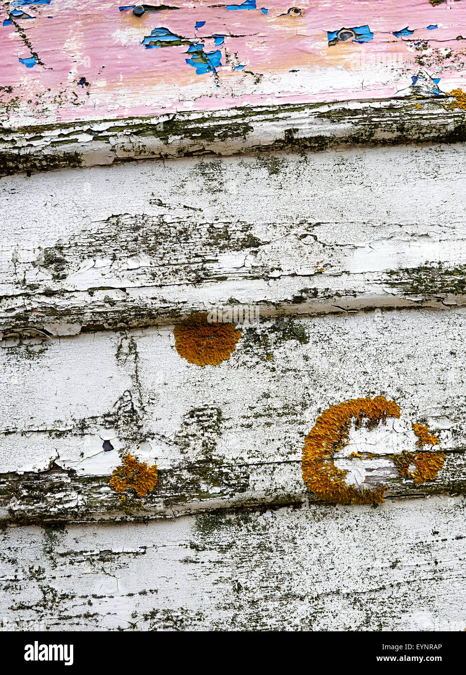 Dettaglio di un vecchio, weathered barca da pesca. Foto Stock