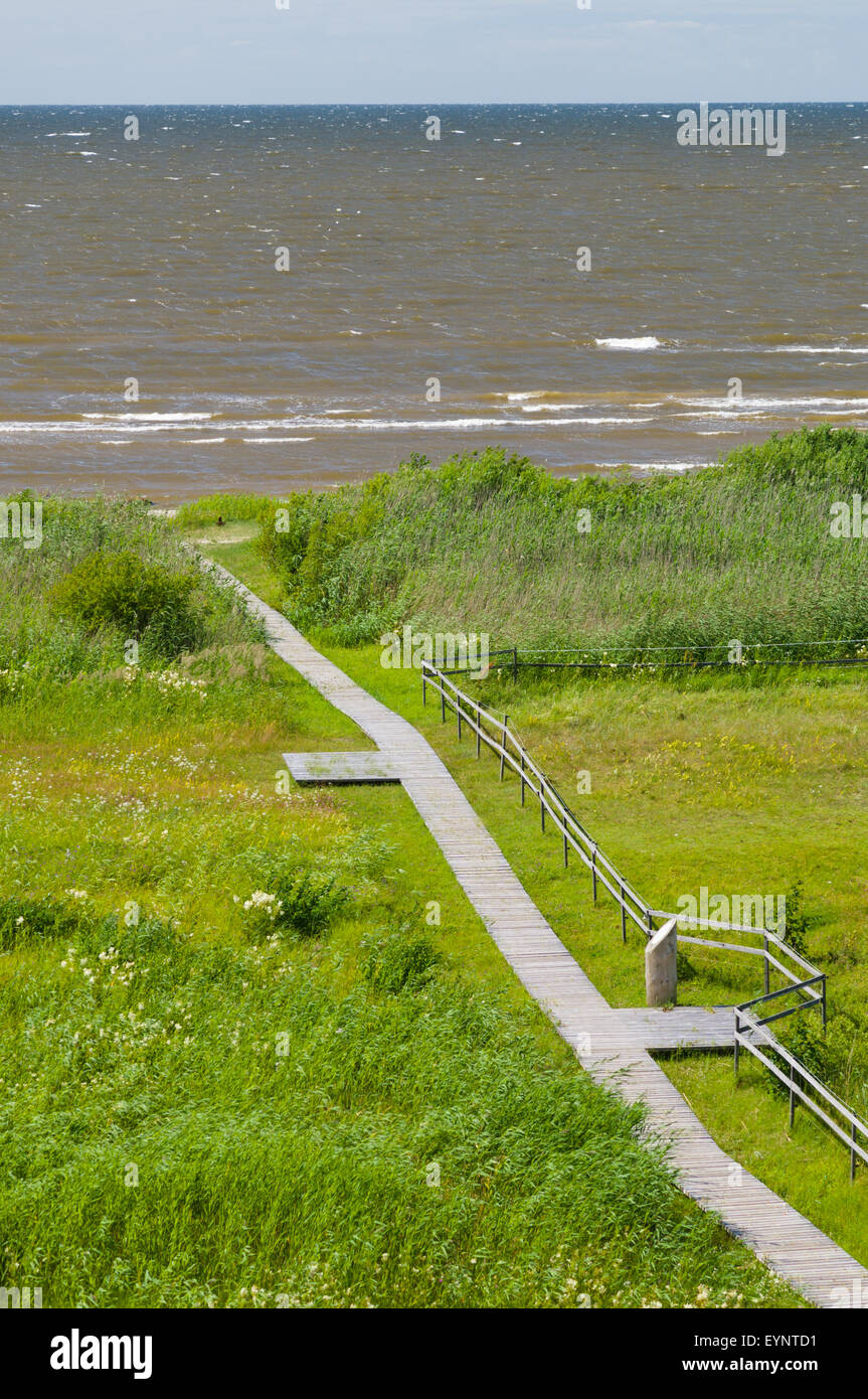 Si affacciano su seaward passerella in legno, vista verticale dalla torre di guardia Foto Stock