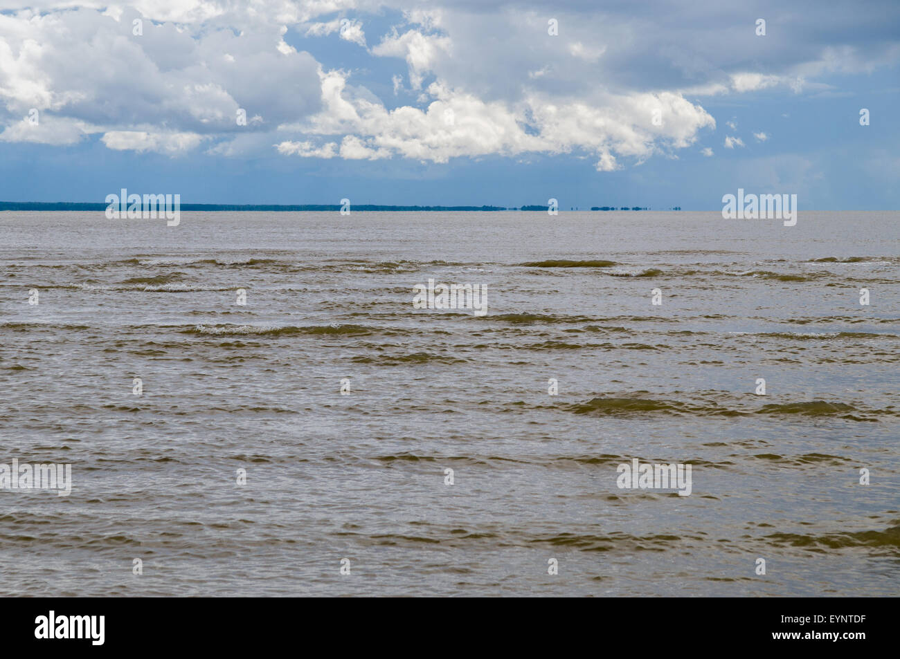 Il marrone scuro onde del mare Baltico prima della tempesta Foto Stock