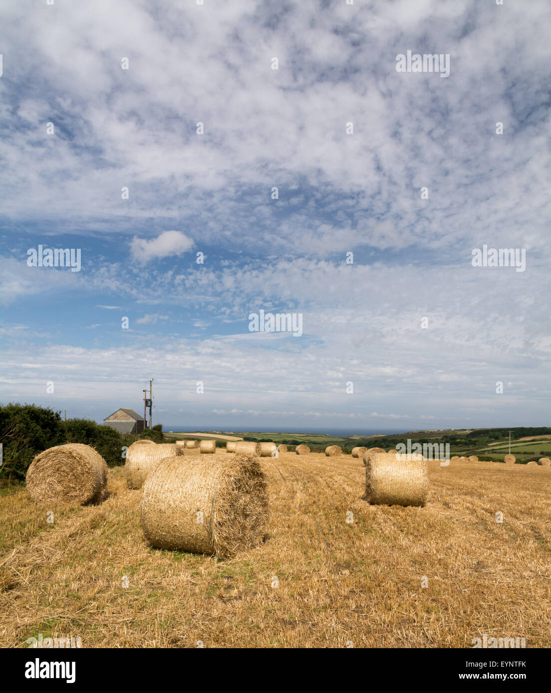 Sennen, Cornwall, Regno Unito. Il 2 agosto 2015. Regno Unito Meteo. Asciutto e soleggiato su West Cornwall, con gli agricoltori rendendo il fieno mentre il sole risplende. Foto Stock