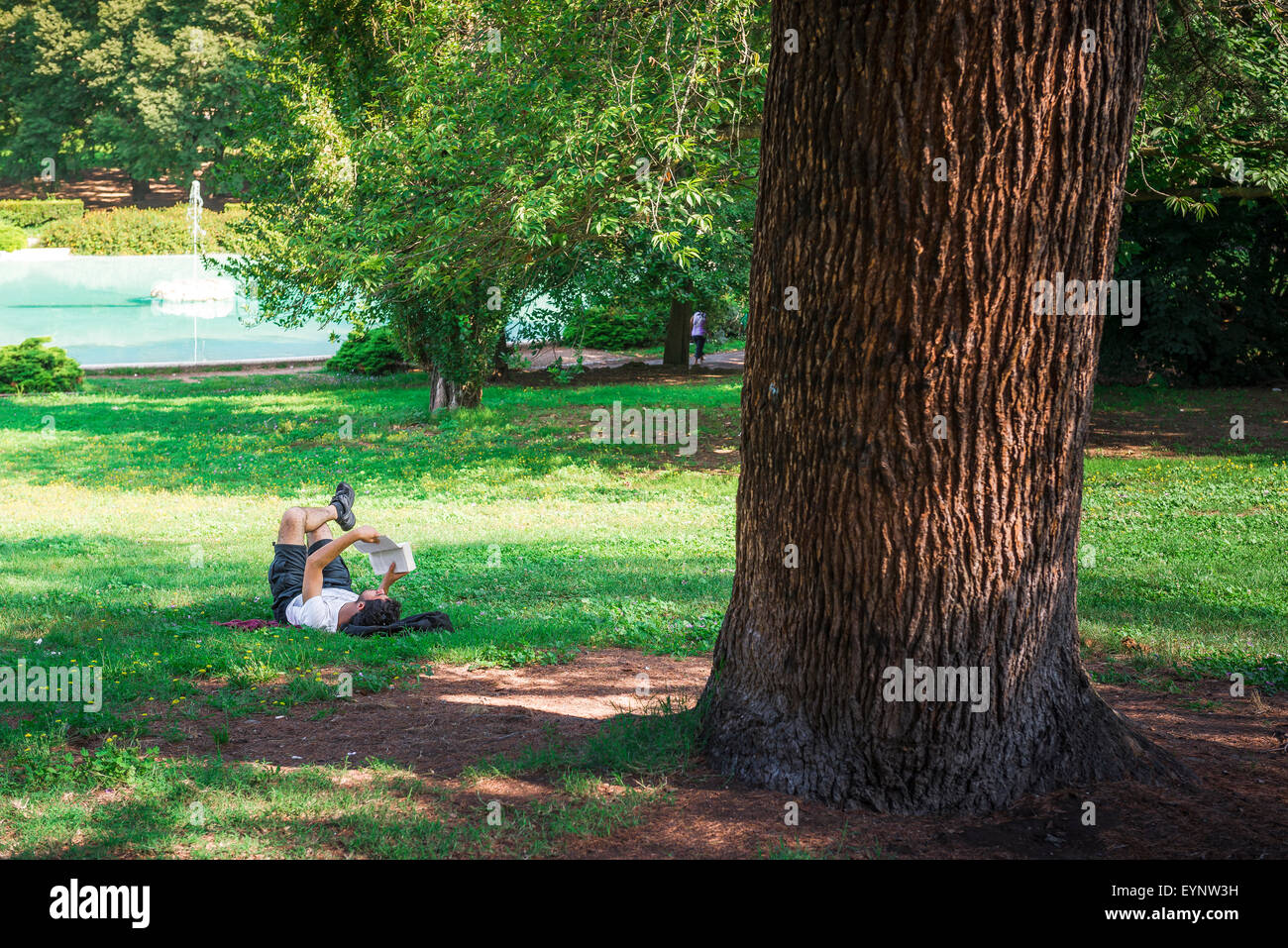 Libro di lettura dell'uomo, un giovane solista legge un libro su un pomeriggio estivo nel parco di Villa Borghese, Roma, Italia. Foto Stock