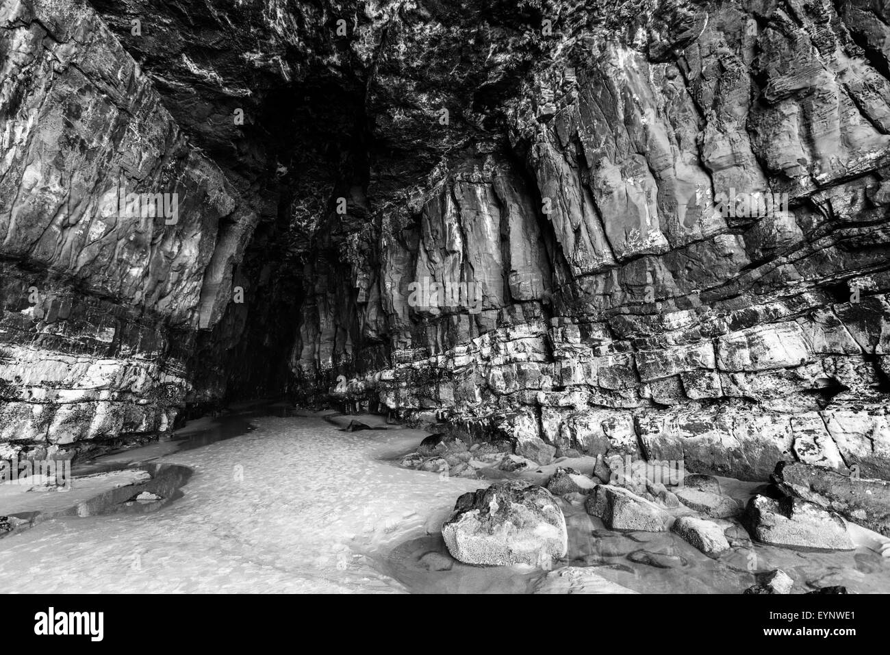 Magnifica Cattedrale Grotta, Catlins, Sud Otago, Isola del Sud,Nuova Zelanda Foto Stock