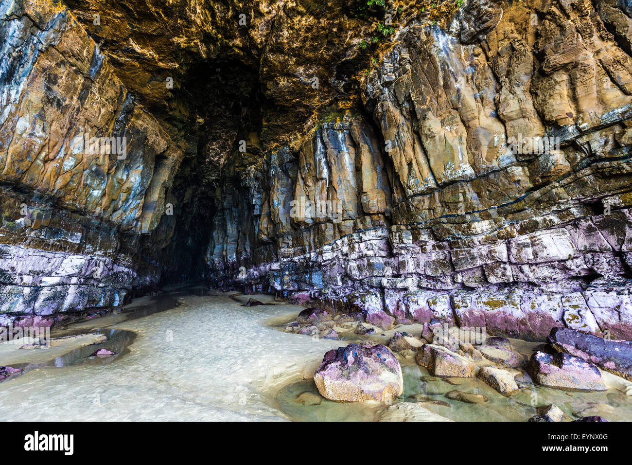 Magnifica Cattedrale Grotta, Catlins, Sud Otago, Isola del Sud,Nuova Zelanda Foto Stock