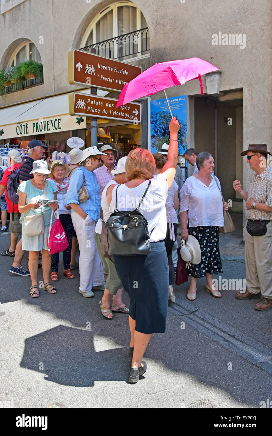 La guida del tour tiene l'ombrello rosa come indicatore di localizzazione per riunire un gruppo di turisti in una visita turistica della città francese ad Avignone, Francia e Provenza Foto Stock