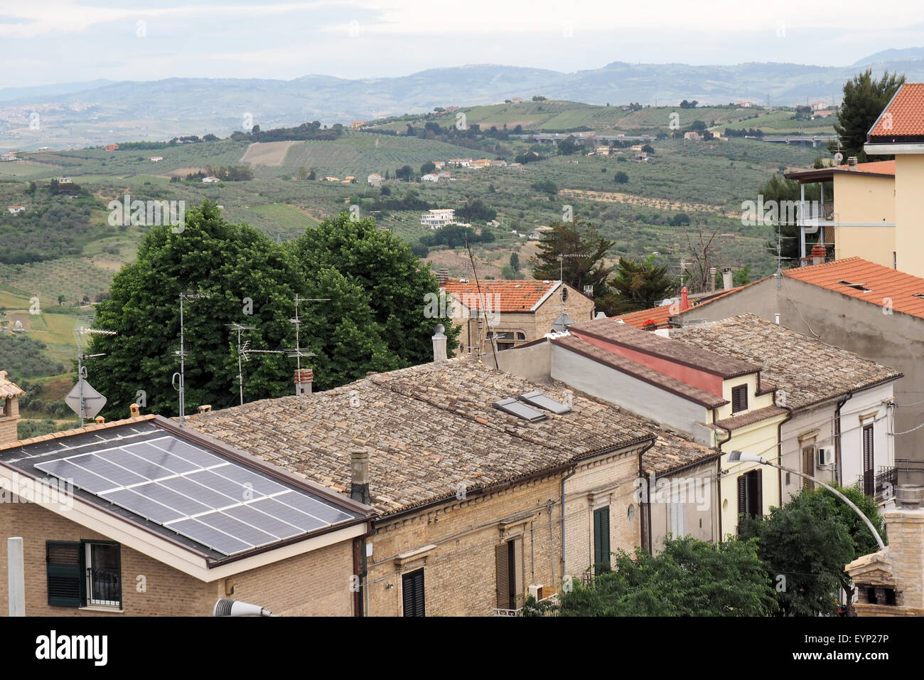 Una fila di casa con oliveti e colline in background. Foto Stock