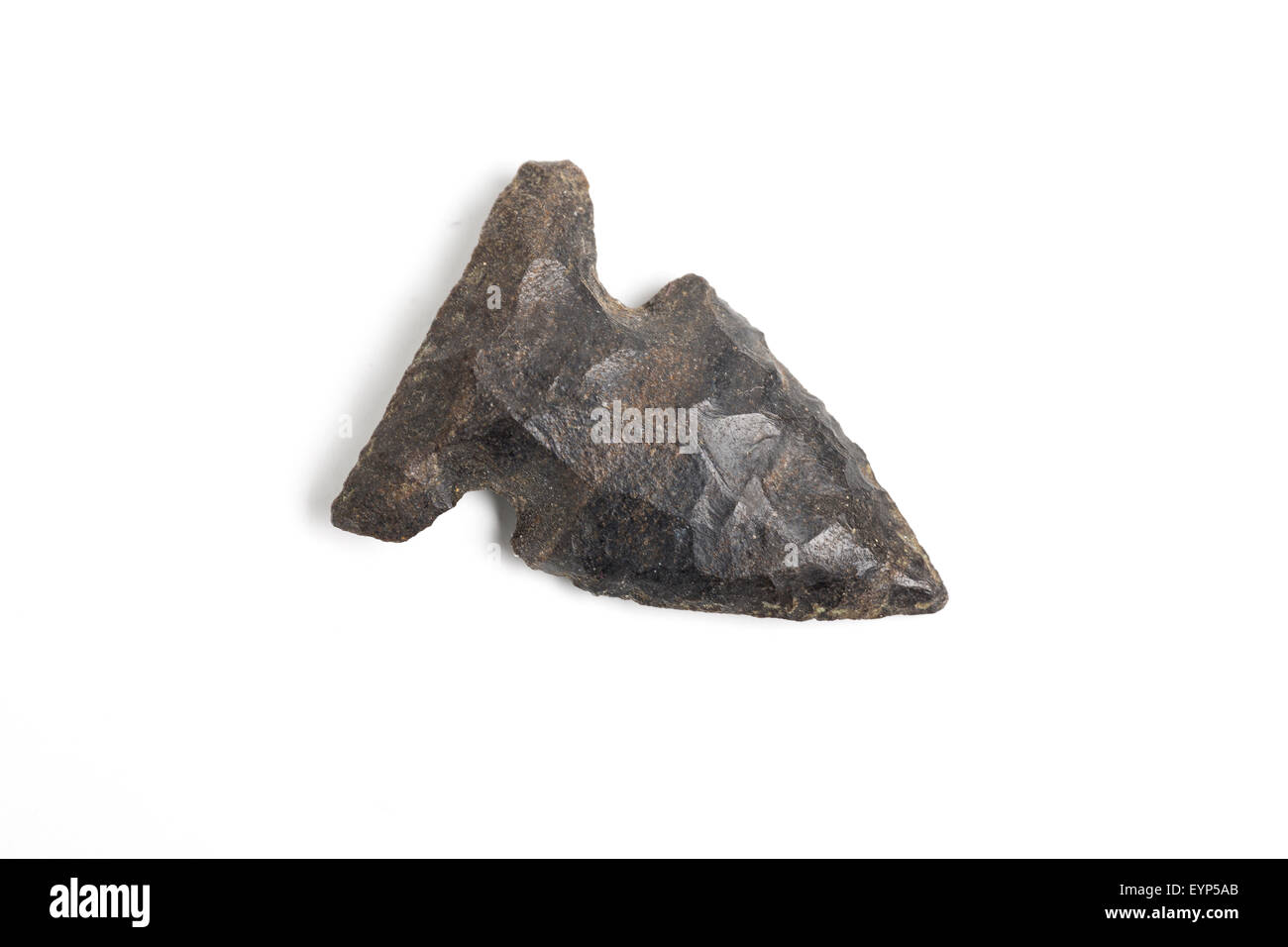 Stone arrowhead, trovati in Arizona Foto Stock