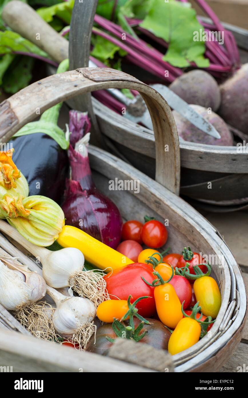 Trug in legno con appena raccolto varie verdure estive, compresi i pomodori, la cipolla, zucchine, melanzane, aglio e beetr Foto Stock