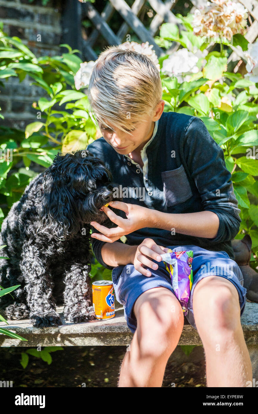 Un giovane biondo ragazzo di età intorno ai 12 anni si siede su una panchina al sole con il suo cane cucciolo e condivide la sua merenda con esso Foto Stock