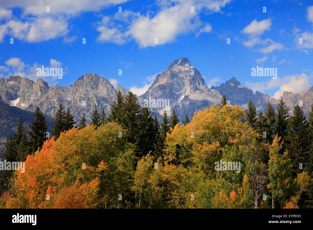 Tetons in autunno come visto nel Parco Nazionale di Grand Teton, Wyoming Foto Stock