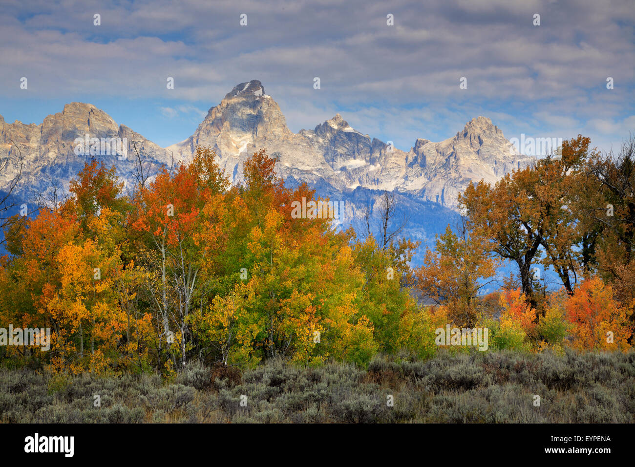 Tetons in autunno come visto nel Parco Nazionale di Grand Teton, Wyoming Foto Stock