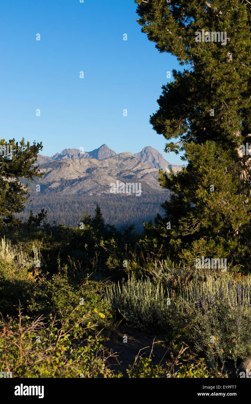 Montare Ritter e parte di intestazione del Ritter gamma di montagne a Mammoth Lakes in California Foto Stock