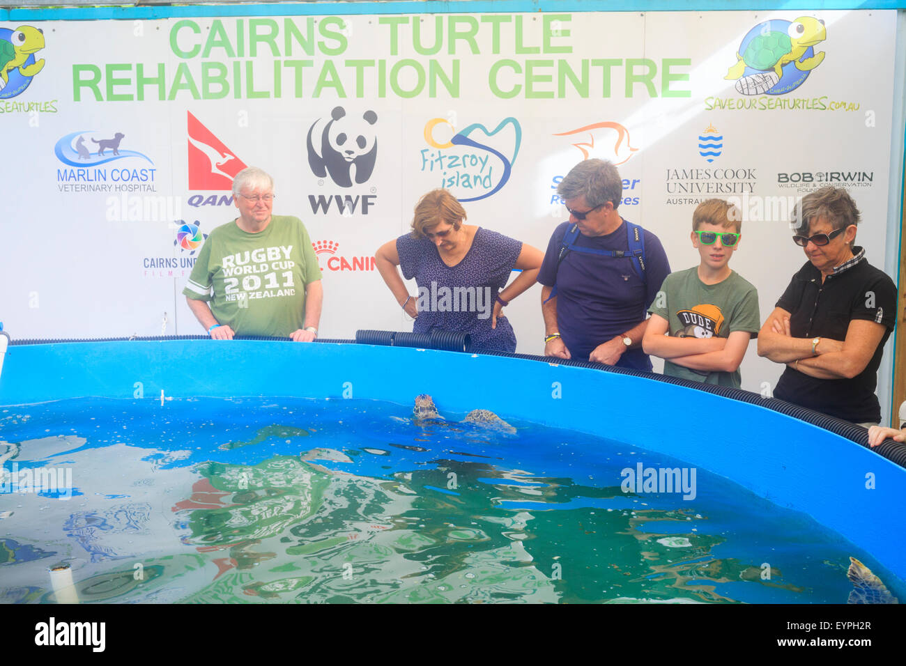 Le tartarughe marine in una piscina a Cairns Tartaruga Centro di Riabilitazione sull'Isola Fitzroy , off Cairns, Queelsnalnd Foto Stock