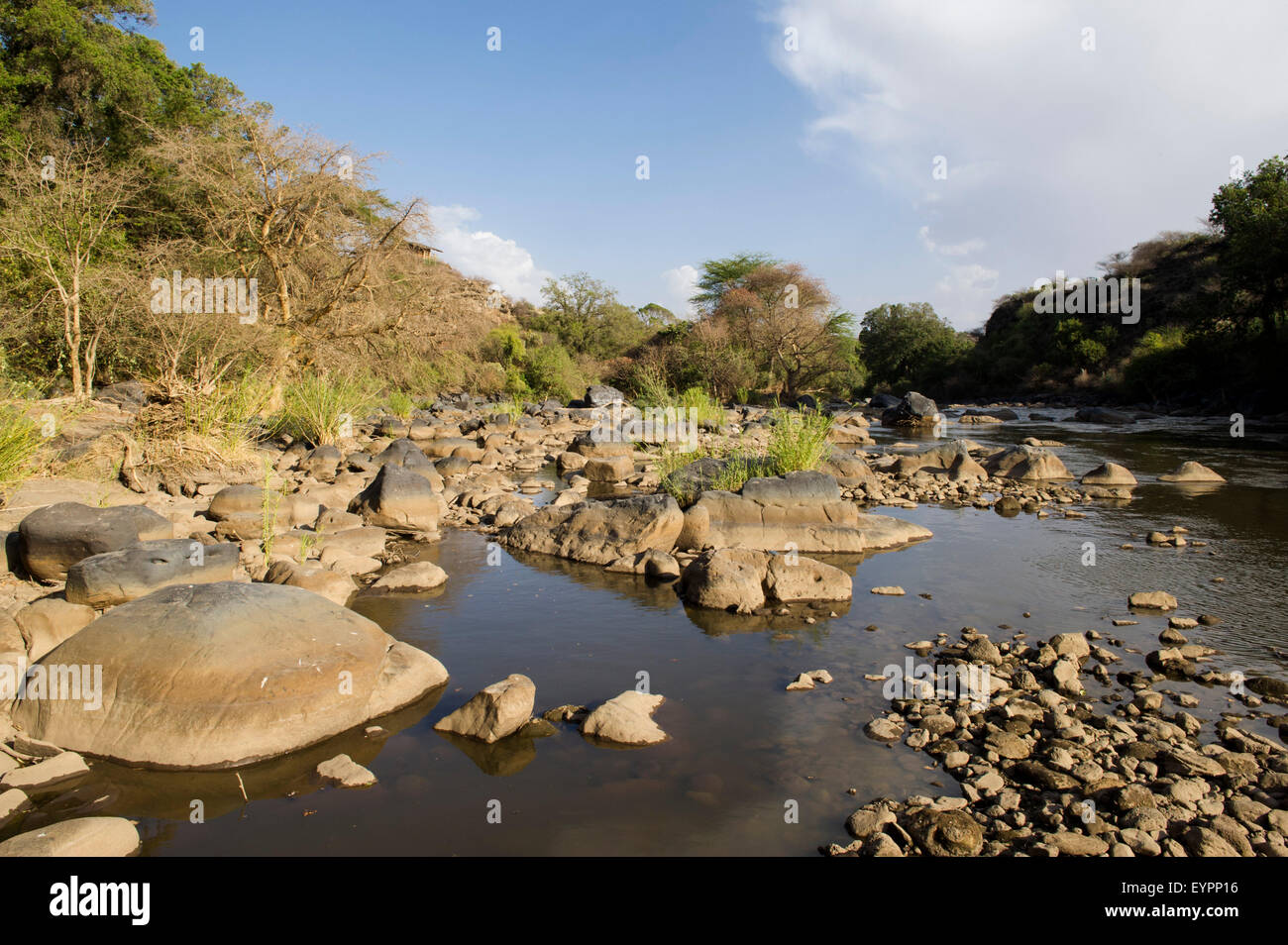 Inondata River, inondato National Park, Etiopia Foto Stock