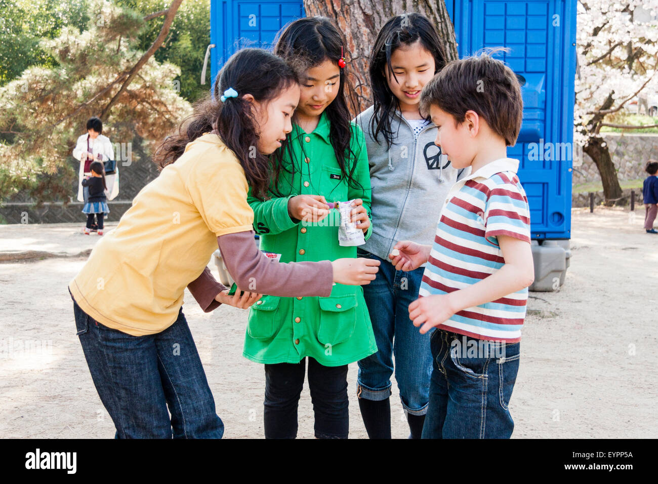 I bambini. Ragazzo caucasico, in piedi con le tre ragazze giapponesi, 7-9 anni nel parco pubblico. Le ragazze hanno un sacchetto di caramelle e sta offrendo loro il ragazzo. Foto Stock