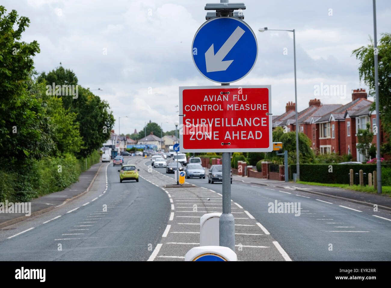 Preston, Lancashire, Regno Unito. L influenza aviaria cartello segnaletico su Preston Street. Foto Stock Preston, Lancashire, Regno Unito. L influenza aviaria cartello segnaletico su Preston Street. Foto Stock