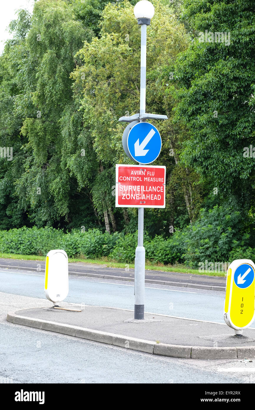 Preston, Lancashire, Regno Unito. L influenza aviaria cartello segnaletico su Preston Street. Foto Stock