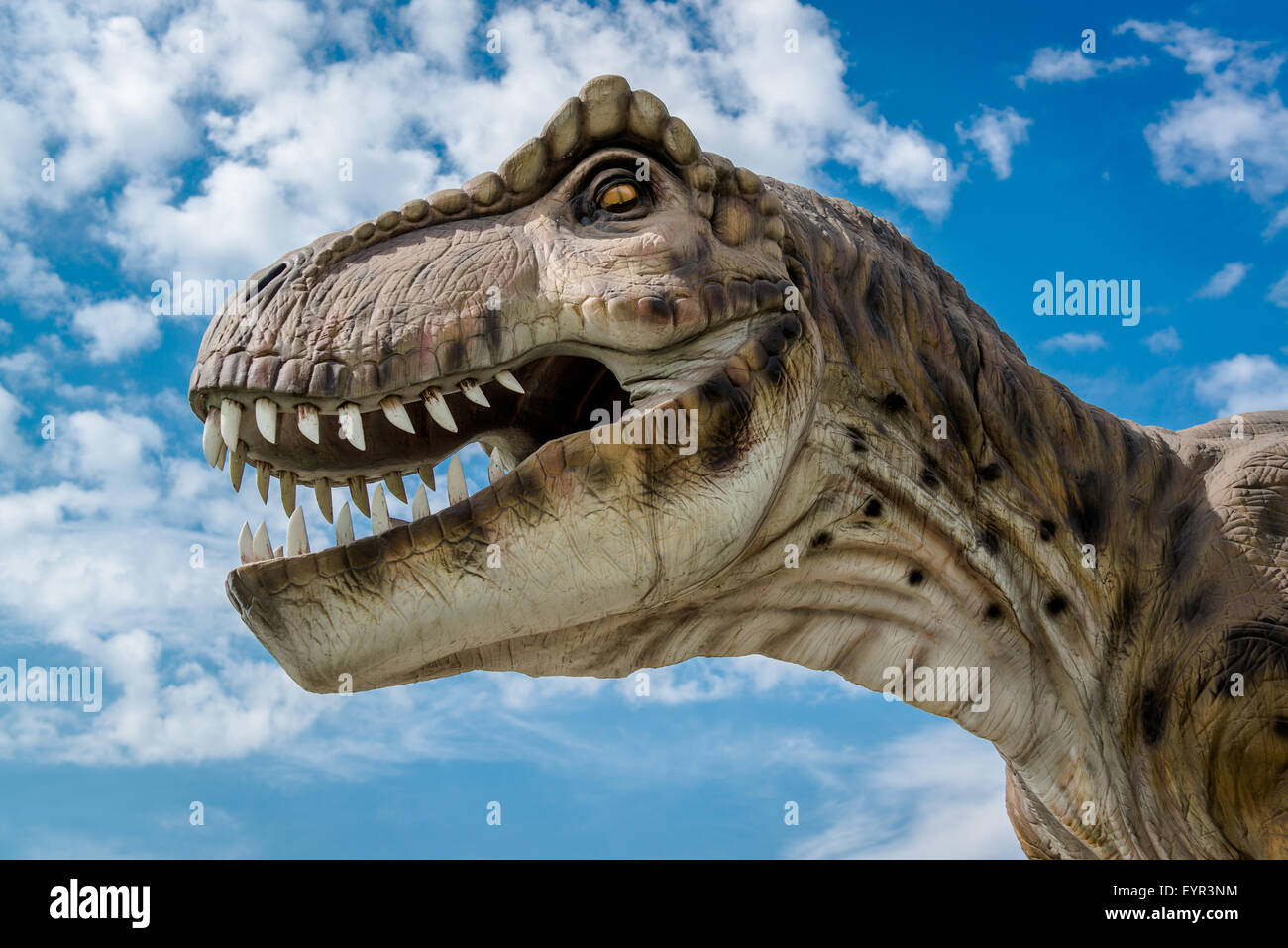 Tyrannosaurus rex Foto Stock