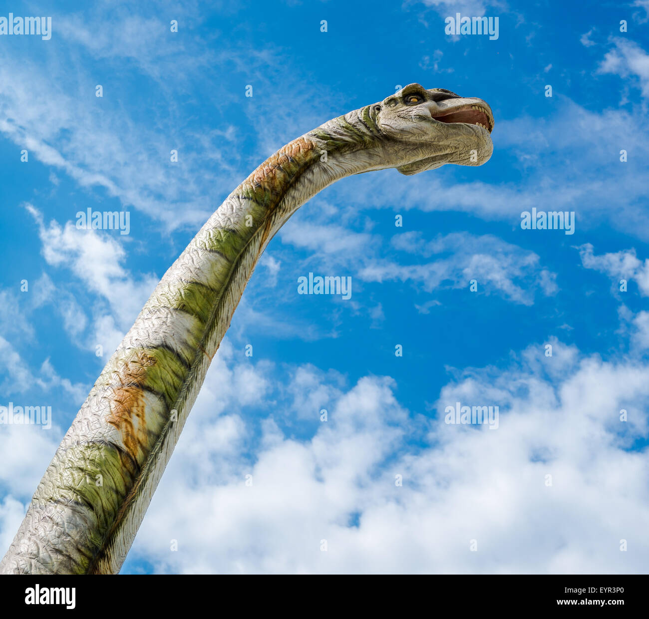 Muso del Brachiosaurus Foto Stock