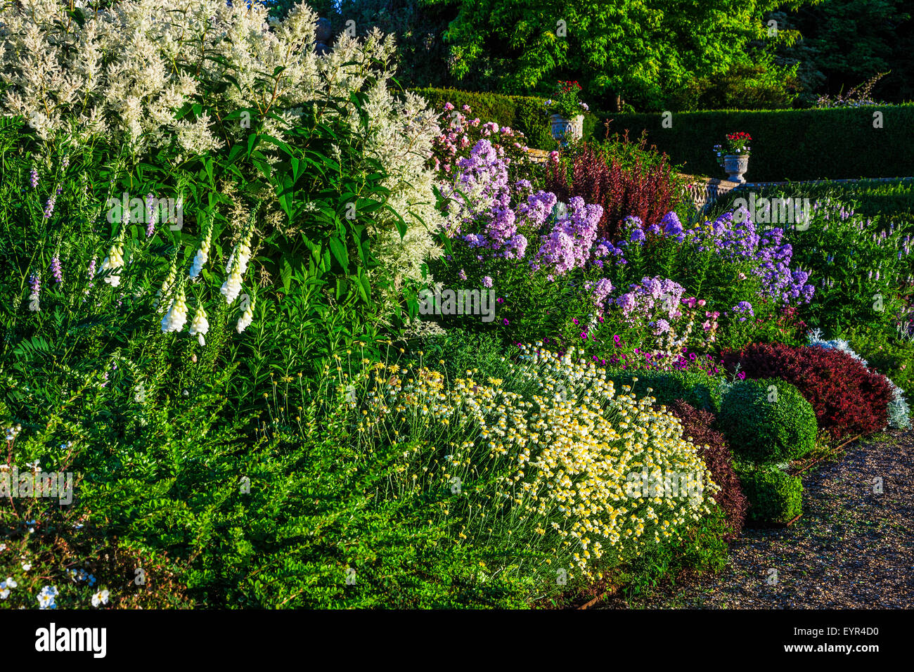 Confine erbacee sotto la terrazza della struttura Bowood House nel Wiltshire. Foto Stock