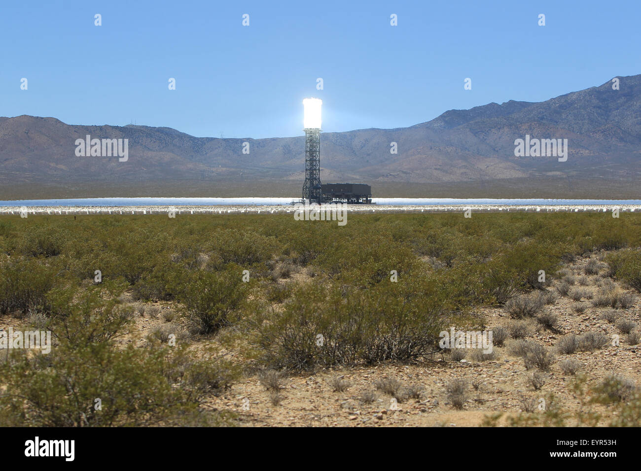 Un impianto fotovoltaico che utilizza migliaia di grandi specchi a super riscaldare acqua per creare energia nel deserto. Dotato di: atmosfera dove: Nipton, California, Stati Uniti quando: 01 giu 2015 C Foto Stock