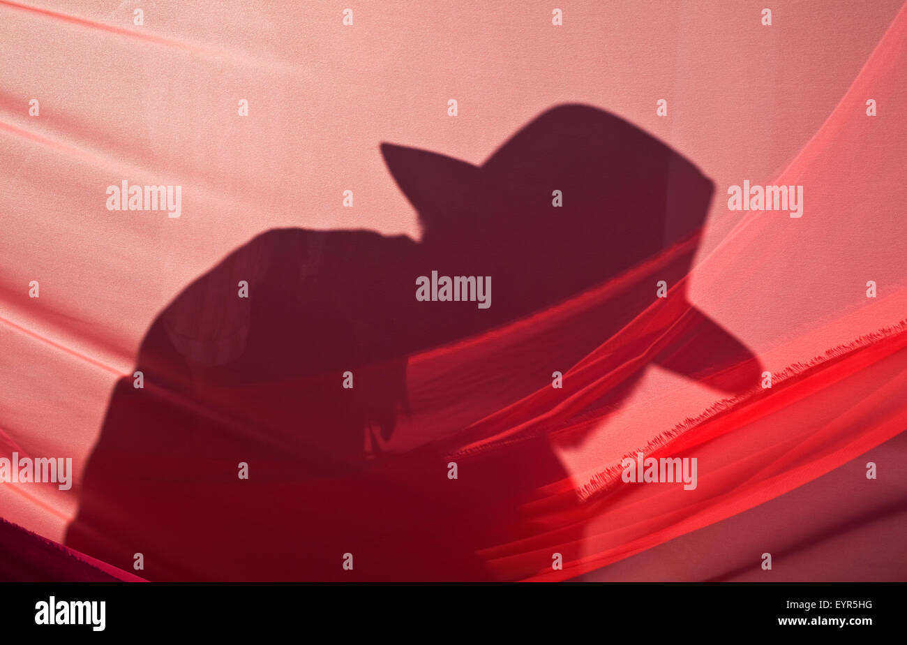 Uomo proiettato Foto Stock