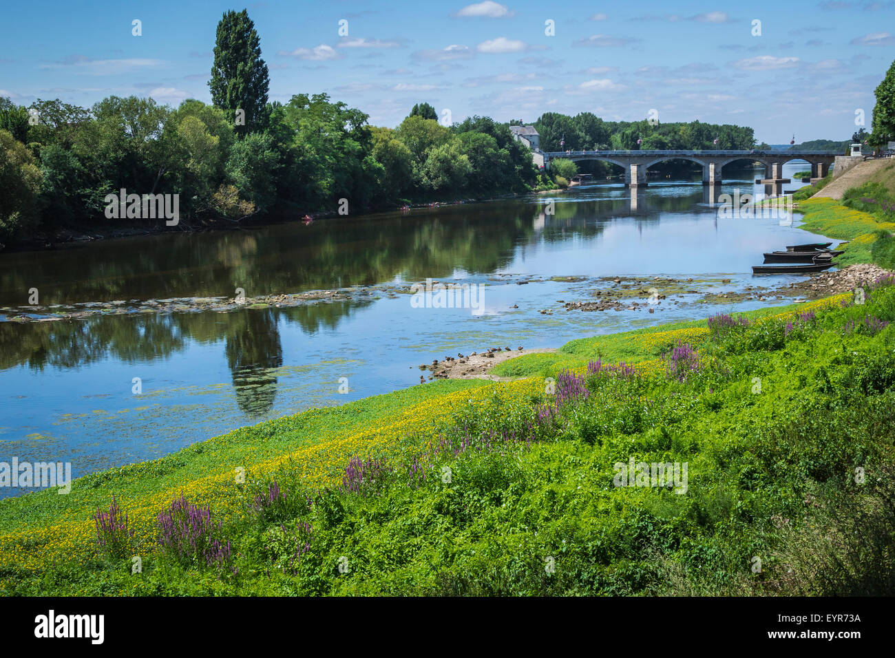 Il fiume La Vienne vicino l'Île-Bouchard, Francia. Fiori che sbocciano e barche e il ponte sullo sfondo. Foto Stock