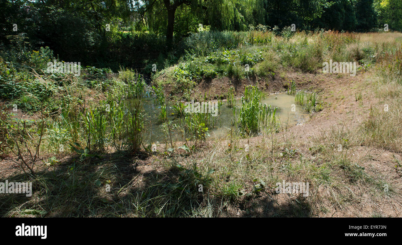 Fiume Pinn progetto backwaters Pinner Middlesex Ecologia della fauna selvatica acqua indietro Foto Stock