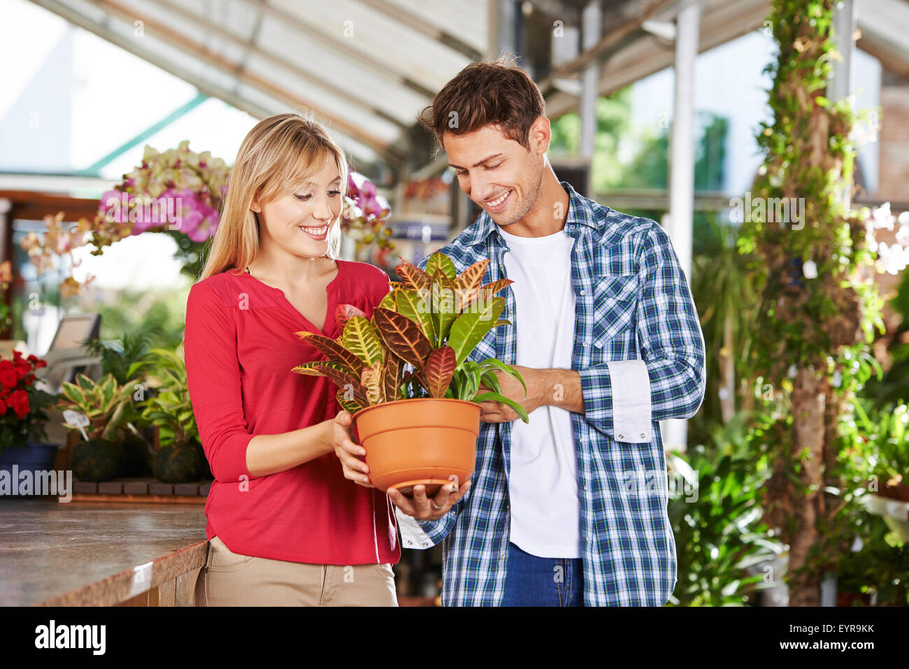 Coppia felice shopping per un impianto (codiaeum variegatum) in un negozio di vivaio Foto Stock