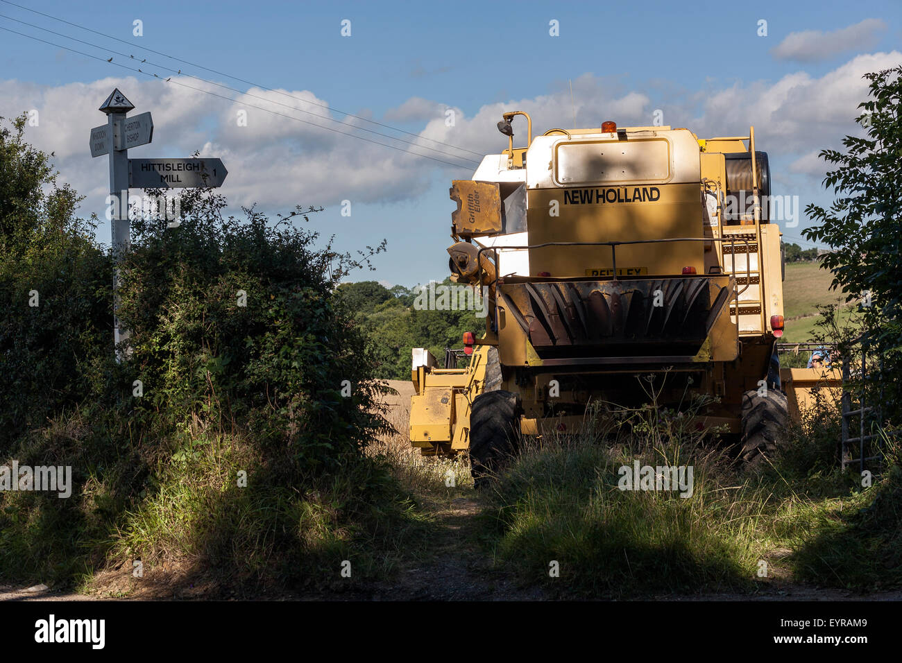 Tempo di raccolta,agricoltura,mietitrebbia.new holland,una macchina agricola che miete, Trebbia e pulisce un raccolto di cereali in una sola operazione.la raccolta del c Foto Stock