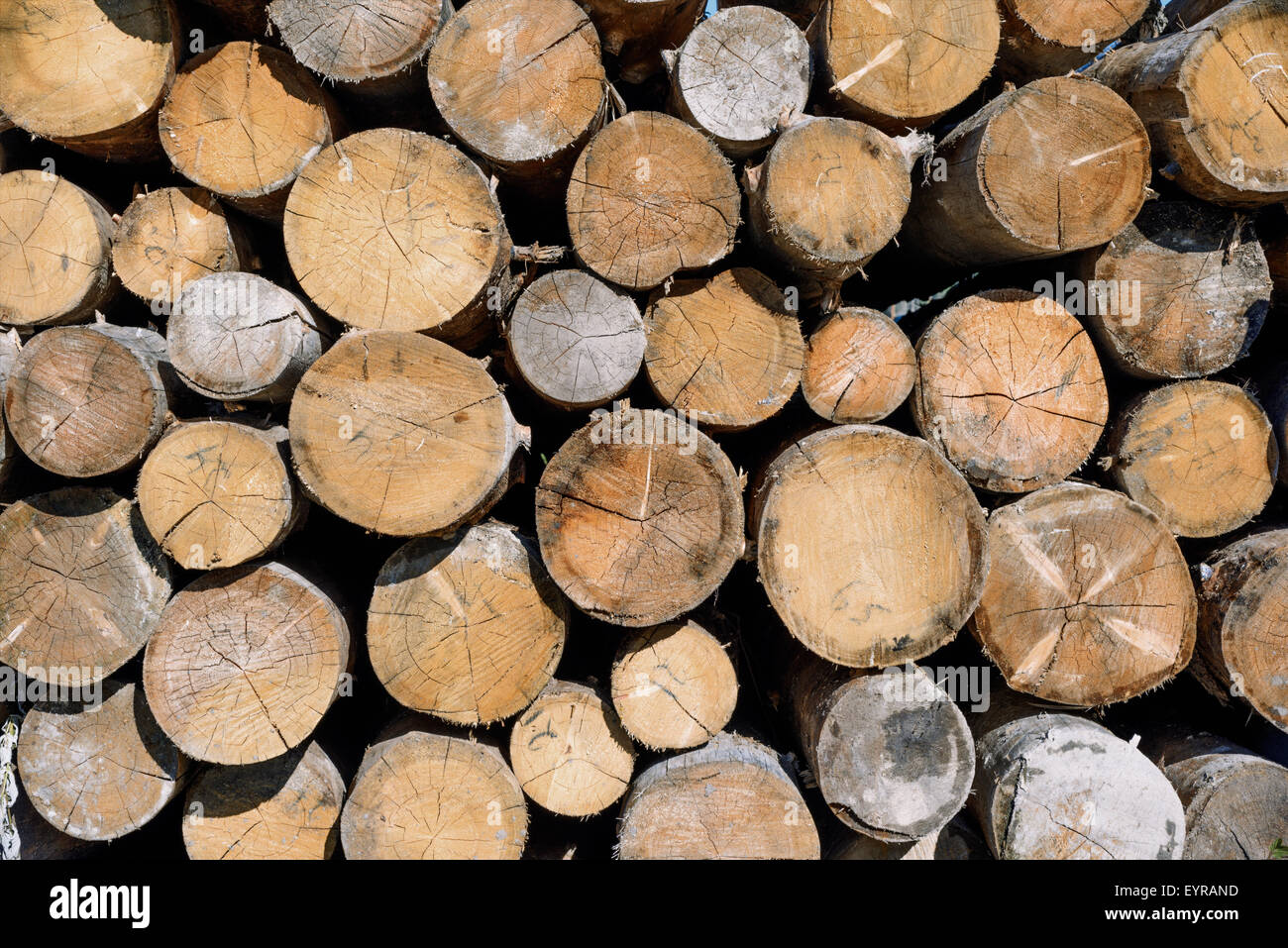 Gli sfondi e texture: pila di legno, industria del legno o di natura sfondo astratto Foto Stock