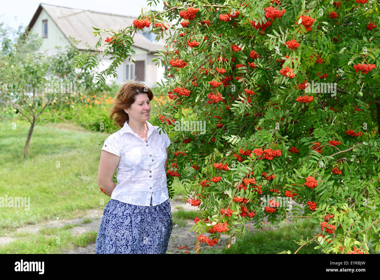 Una donna si erge nei pressi di rowan in estate Foto Stock