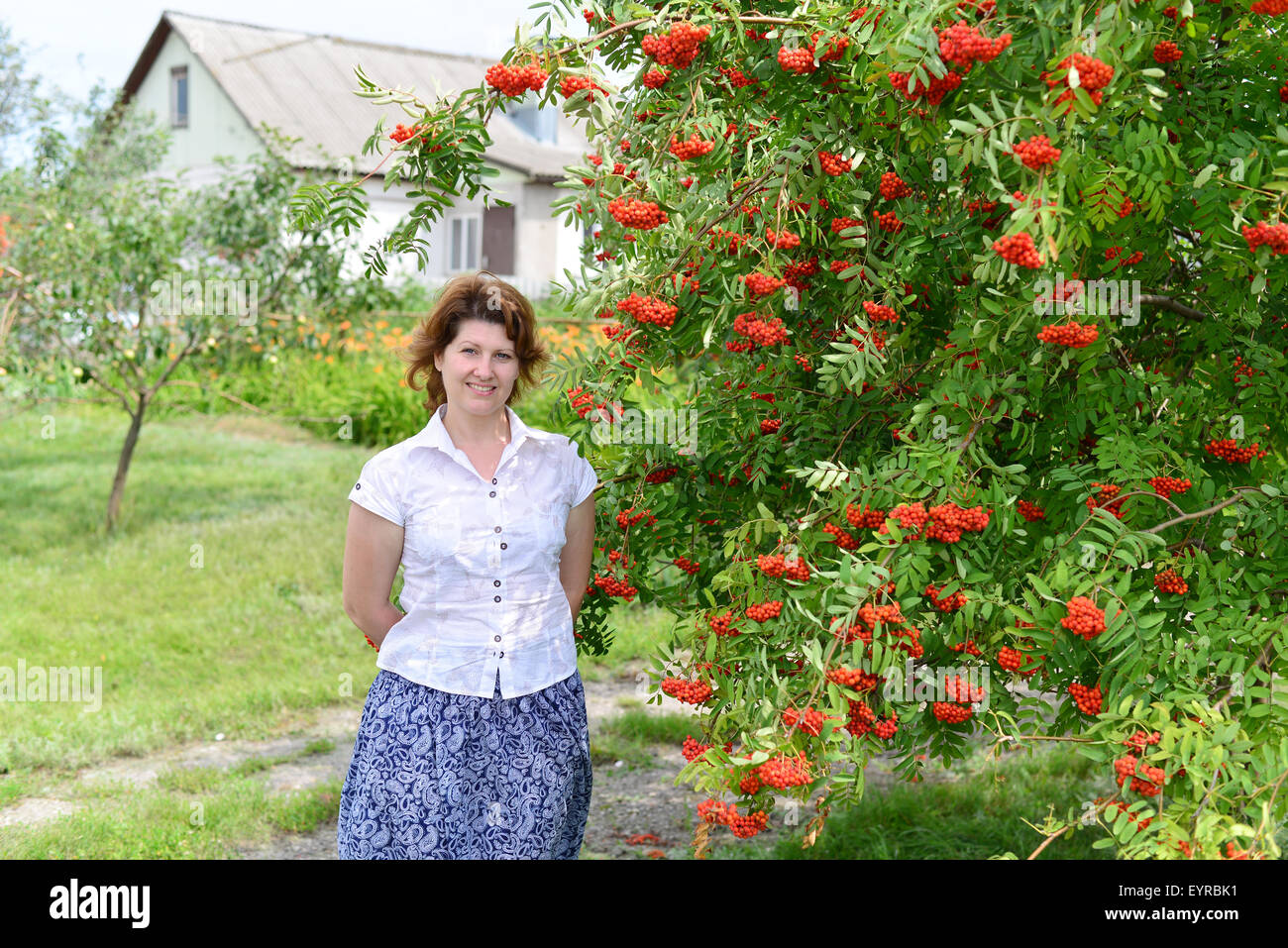Una donna si erge nei pressi di rowan in estate Foto Stock