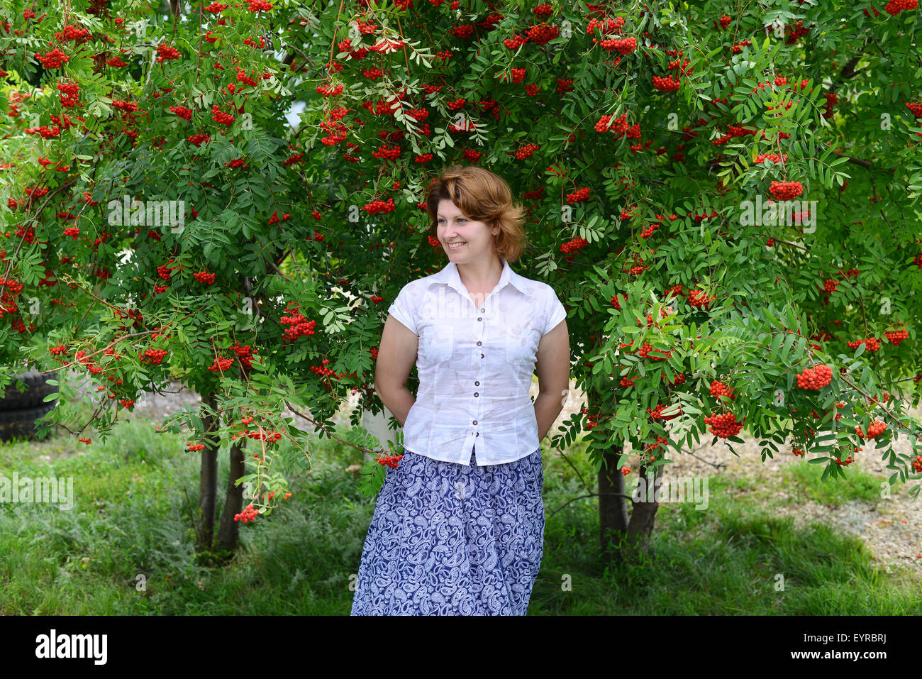 Una donna si erge nei pressi di rowan in estate Foto Stock