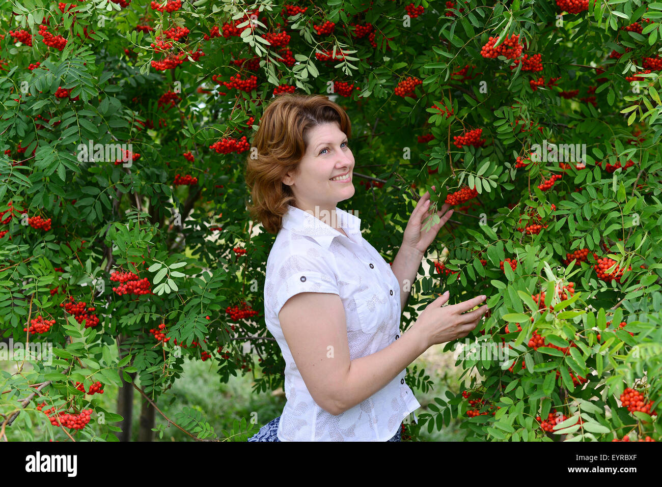 Una donna si erge nei pressi di rowan in estate Foto Stock