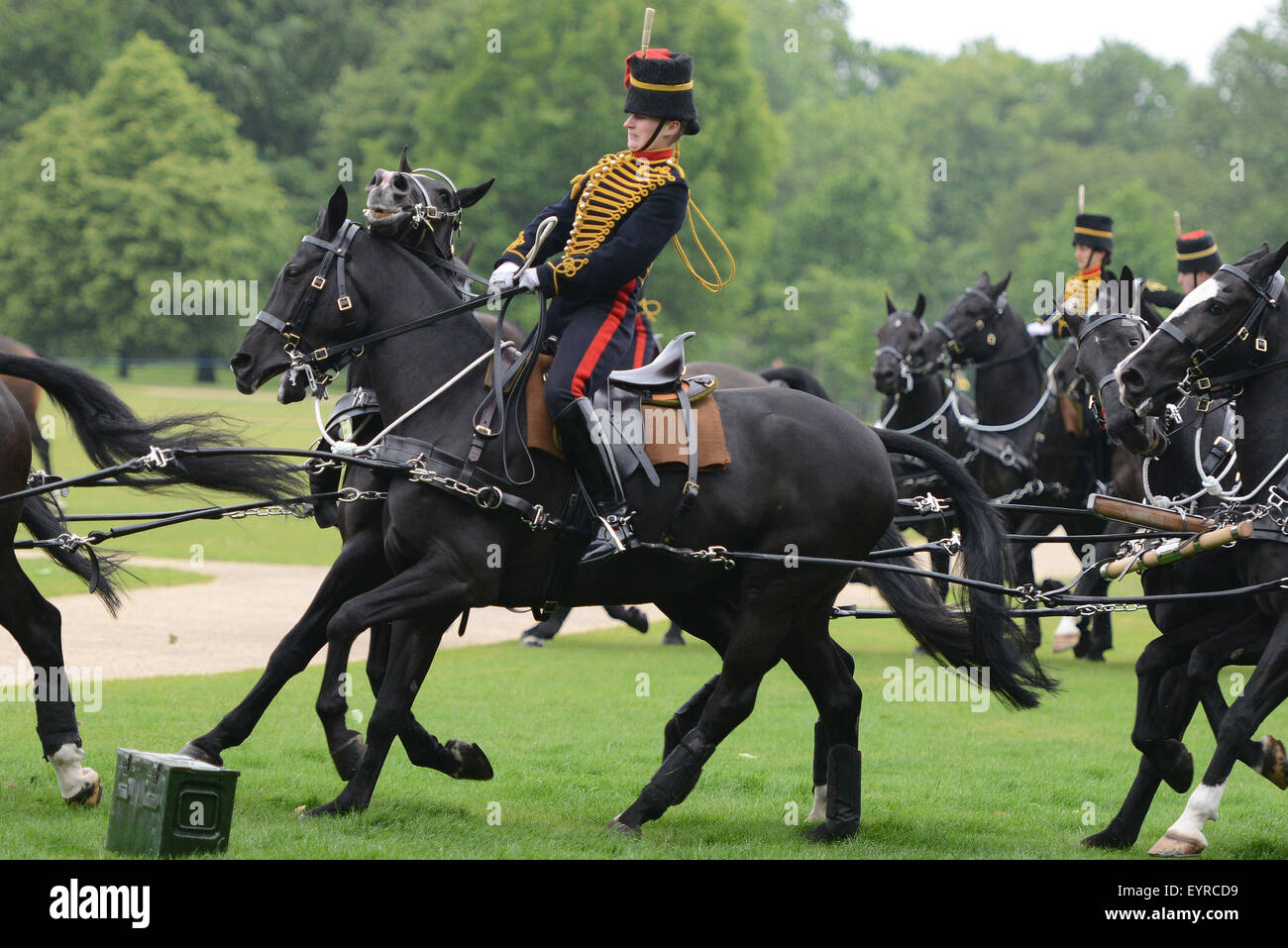 Il re di truppa cavallo Royal Artillery celebrare la regina della incoronazione con una pistola 41 Salutate in Hyde Park. Il re di truppa cavallo Royal Artillery celebrare la regina della incoronazione con una pistola 41 Salute. Alta venti erano problematici. Dotato di: Kings truppa cavallo Royal Artillery dove: Londra, Regno Unito quando: 2 Giu 2015 C Foto Stock