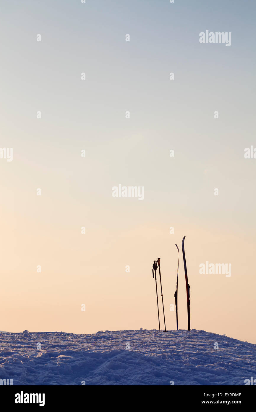 Telemark sci e bastoncini da sci bloccati nella neve. Dovrefjell-Sunndalsfjella Parco Nazionale. La Norvegia. Foto Stock